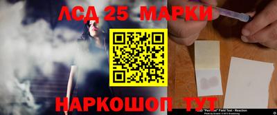 гидропоника Обнинск