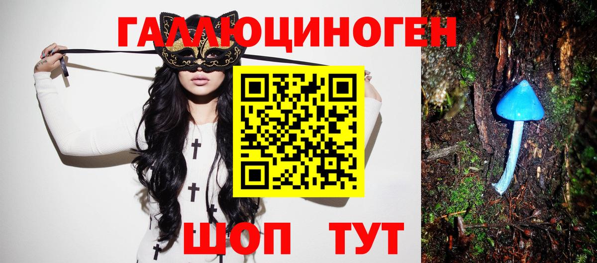 Галлюциногенные грибы мицелий  Вход с VPN  продажа наркотиков  Саяногорск 