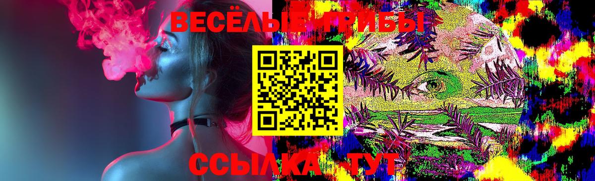 Псилоцибиновые грибы GOLDEN TEACHER Саяногорск
