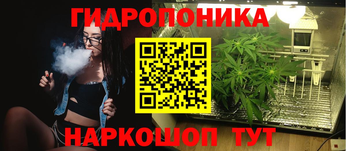 Шишки марихуана конопля Саяногорск